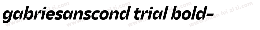 gabriesanscond trial bold字体转换
